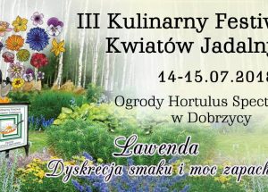 III Kulinarny Festiwal Kwiatów Jadalnych odbędzie się 14-15.07 w Dobrzycy