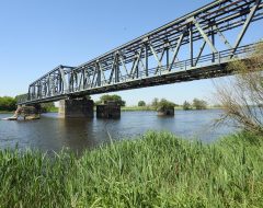 Widok z polskiego brzegu Odry na niemieckie przęsła mostu odbudowane 1954-55[16148]